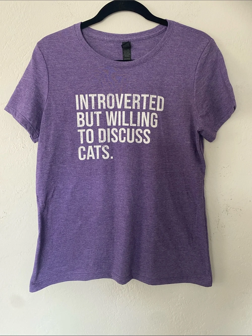 Gildan Purple Tee with White 'Introverted But Willing To Discuss Cats' Print